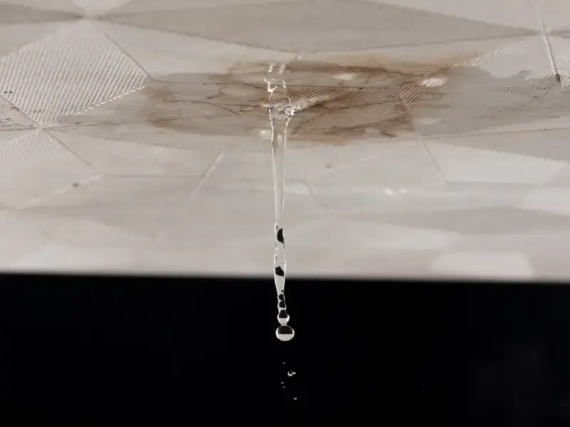 detecting slab leaks